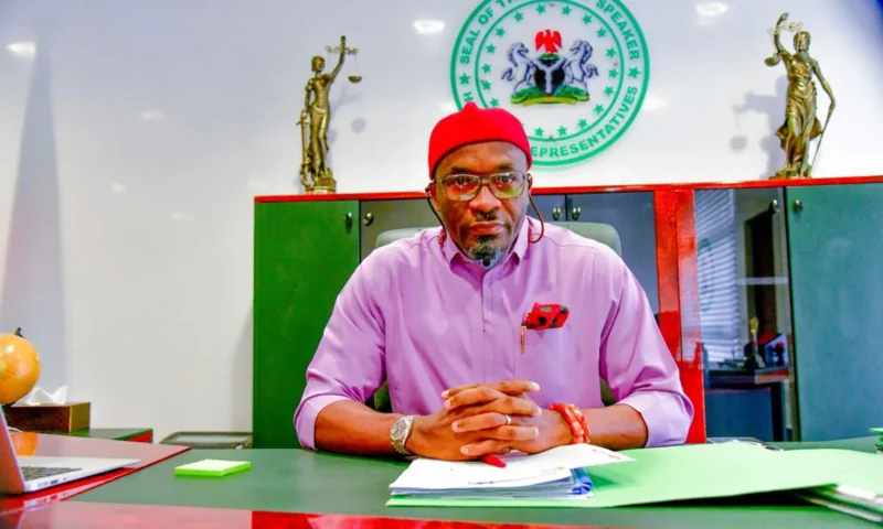 2027: APC will apply votes, not federal force to take over Abia – Deputy Speaker, Kalu