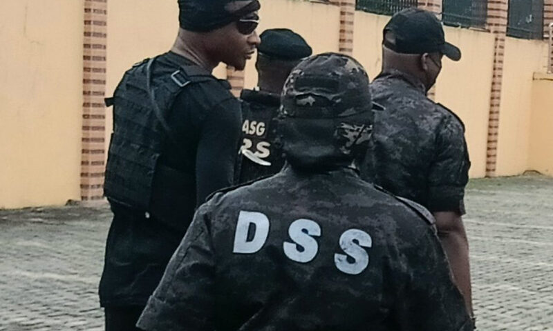 DSS arrests armed dealer, intercepts sophisticated weapons in Delta