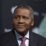 Dangote refuses to buy NNPC refineries, taunts DAPPMAN