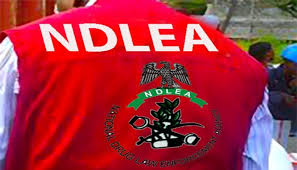 Residents panic as NDLEA officers chase driver
