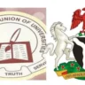 ASUU strike: Nigerian lecturers in talks with FG, highlight progress