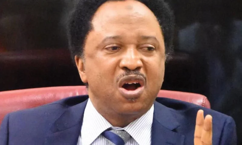 PDP, LP, APGA, SDP, NNPP senators working with APC – Shehu Sani
