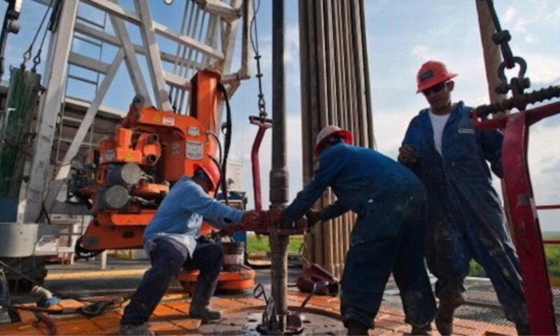 Nigeria risks oil production drop without new discoveries – NAPE