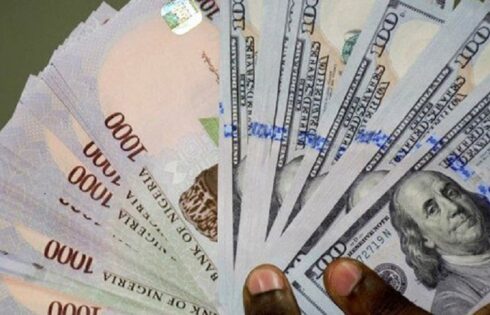 Naira hits 2025 peak at N1,421/$ as forex supply rises