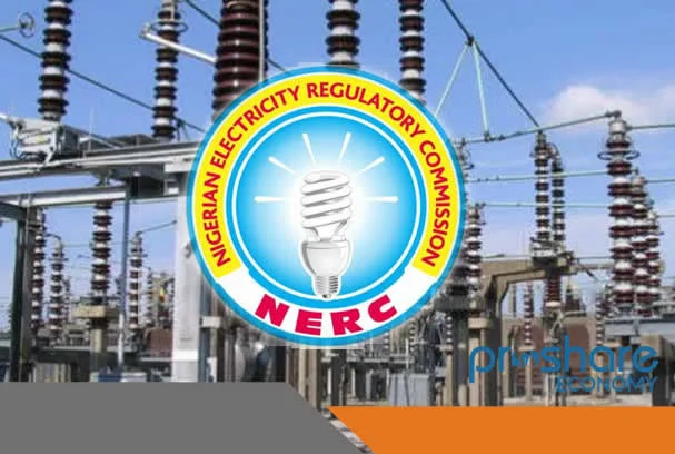 Lagos understudies NERC to strengthen power regulation