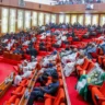 2027: Adopt real-time results upload or face protests – RNA tells Senate