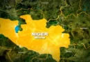 19 arrested, murdered officer’s rifle recovered after Niger mining site attack