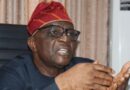 We shamed them in Kaduna, Tinubu welcomed in north – Presidency fires at ADC, others